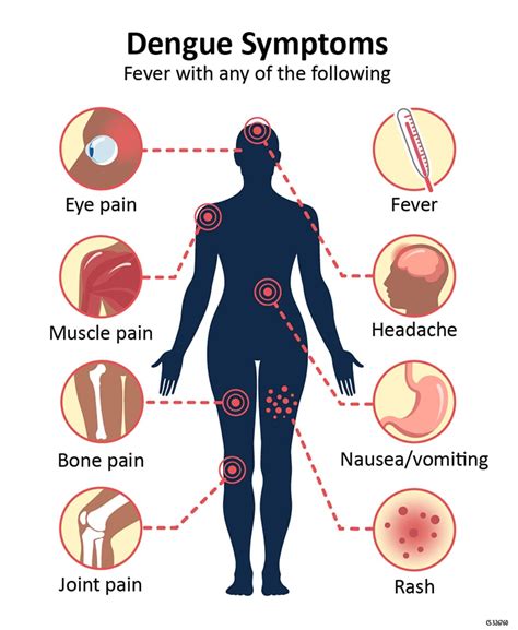 dengue fever symptoms in adults